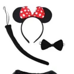 Set de Minnie