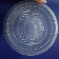 Plato plástico 