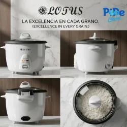 ARROCERA LOTUS (1L)
