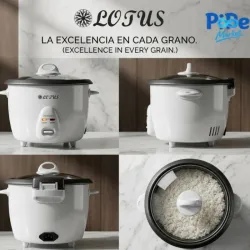 Arrocera Lotus