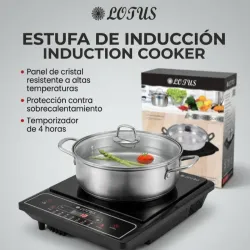 Cocina de inducción