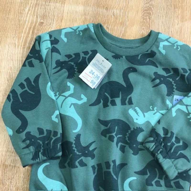 Abrigo con dinosaurios color verde