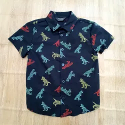Camisa con dinosaurios