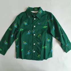 Camisa verde con dinosaurios
