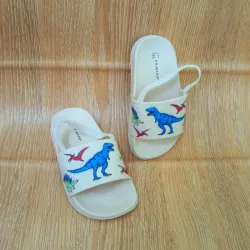 Chancletas de dinosaurios 