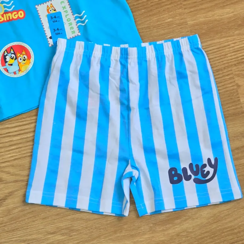 Conjunto azul de Bluey