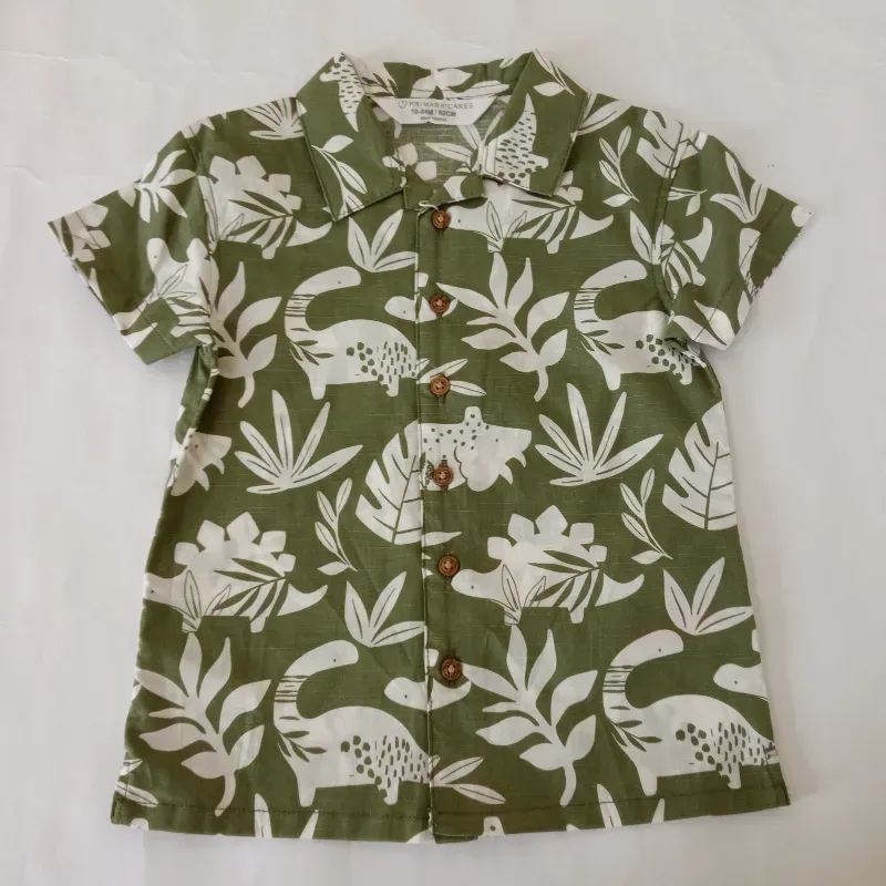 Conjunto color verde con dinosaurios 