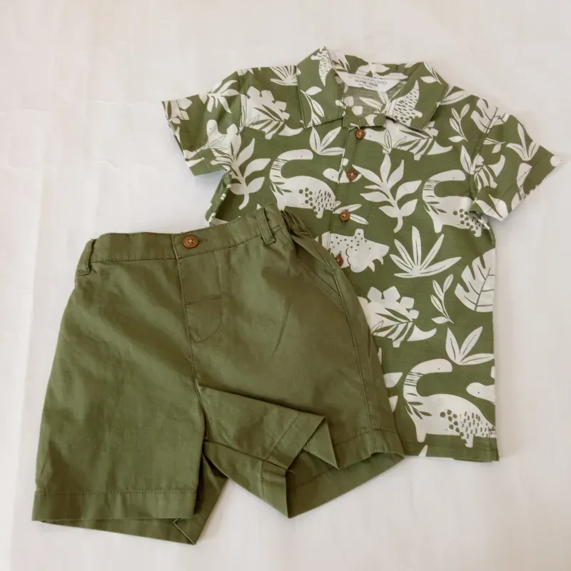 Conjunto color verde con dinosaurios 
