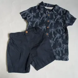 Conjunto con palmeras color azul oscuro 