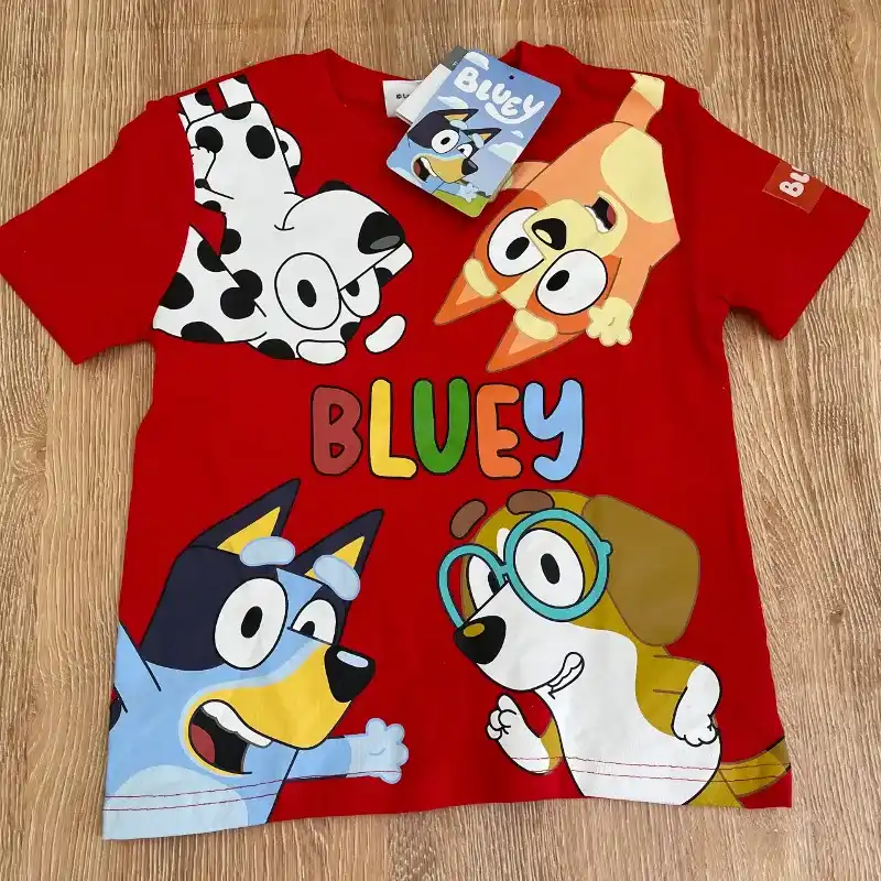 Conjunto de Bluey and Friends 