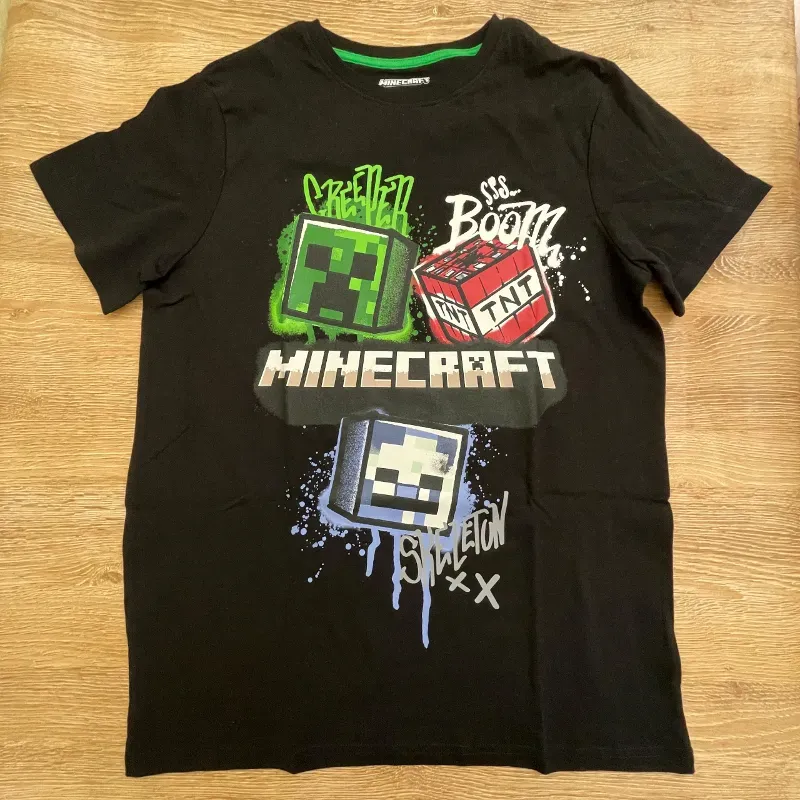 Conjunto de Minecraft 