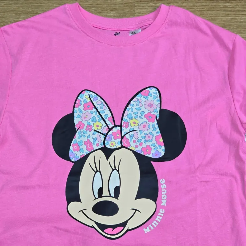 Conjunto Minnie rosa