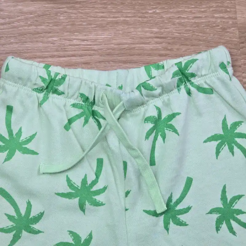 Conjunto Verde de Palmeras