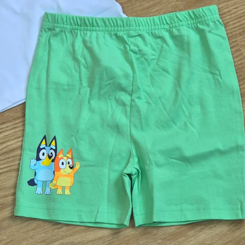 Conjunto verde de Bluey