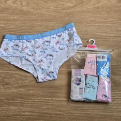 Pack 6 Blumer de Stich