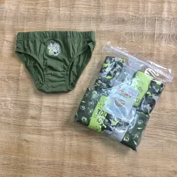 Pack de 10 calzoncillos color verde