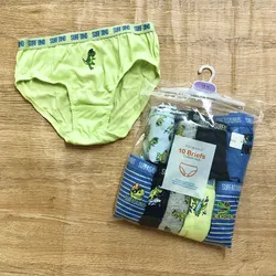 Pack de 10 calzoncillos con dinosaurios 