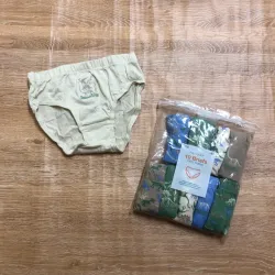 Pack de 10 calzoncillos con dinosaurios 