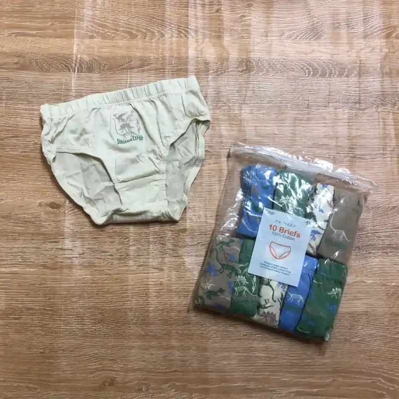 Pack de 10 calzoncillos con dinosaurios 