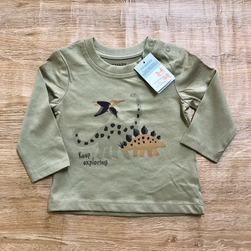 Pack de 2 enguatadas con dinosaurios 