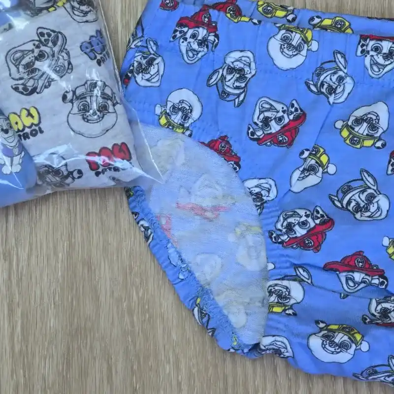 Pack de 6 Calzoncillos de Paw Patrol