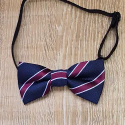 Pajarita color azul con franja roja