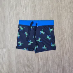 Short de Baño de Dinosaurios