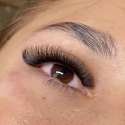 6D ( fibra tecnológica)