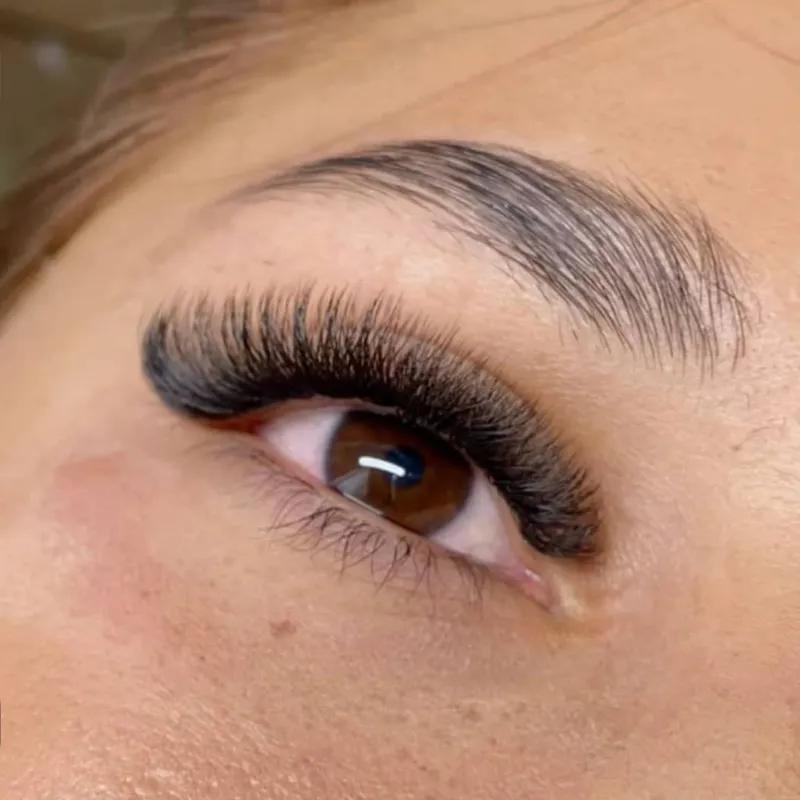 6D ( fibra tecnológica)