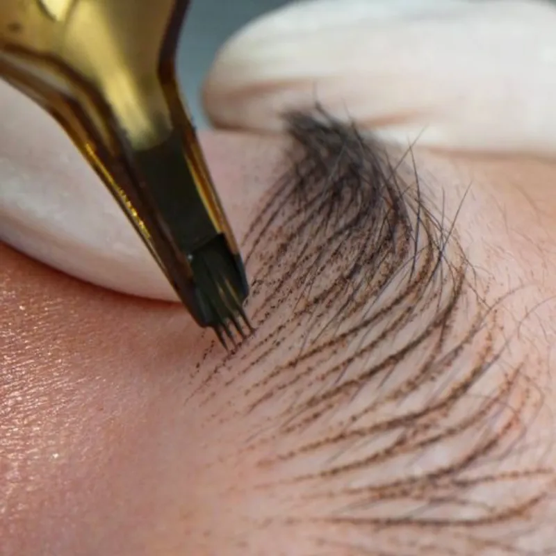 Microblading Retoque 