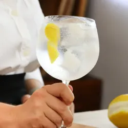 Gin Tonic 