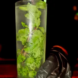 Mojito Virgen 