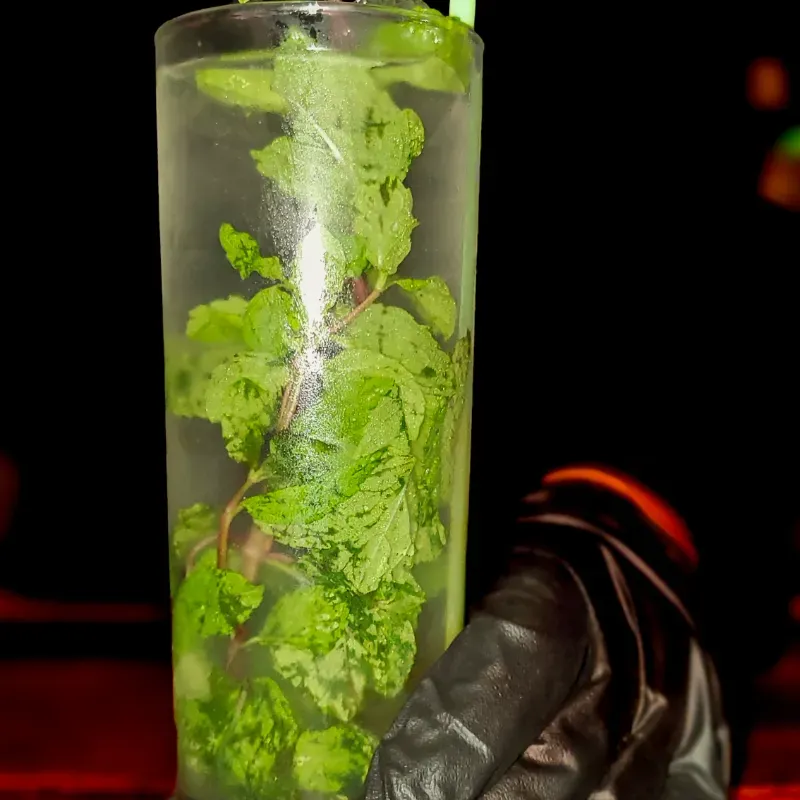 Mojito 