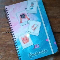 Mi Gestación