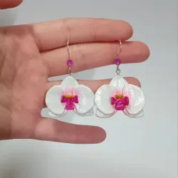 Orquídeas Phalaenopsis