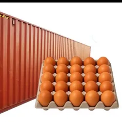 Contenedor de Huevos Colorados Clase A