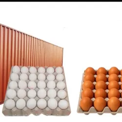 Contenedor de huevos mixto ( colorados y blancos )