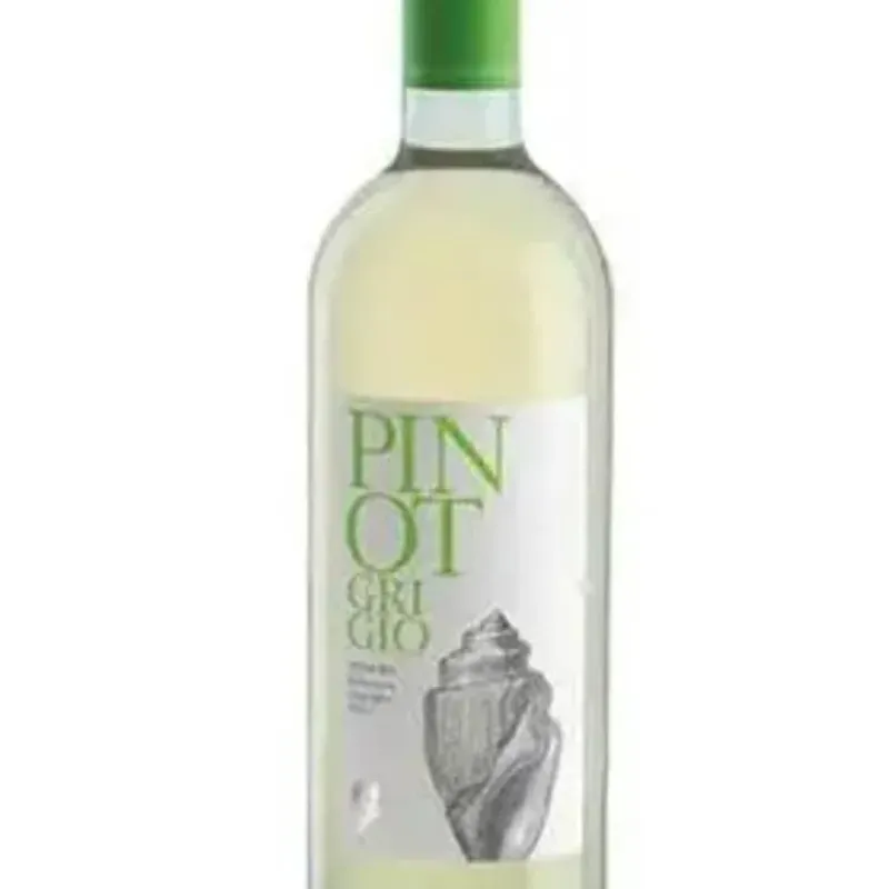 C.EUGANEI PINOT GRIGIO 2021