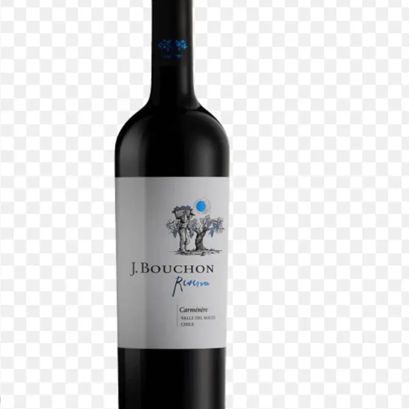 J.BOUCHON RESERVA CARMENERE SYRAH 2021