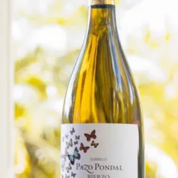 VB PAZO PONDAL GODELLO 2021