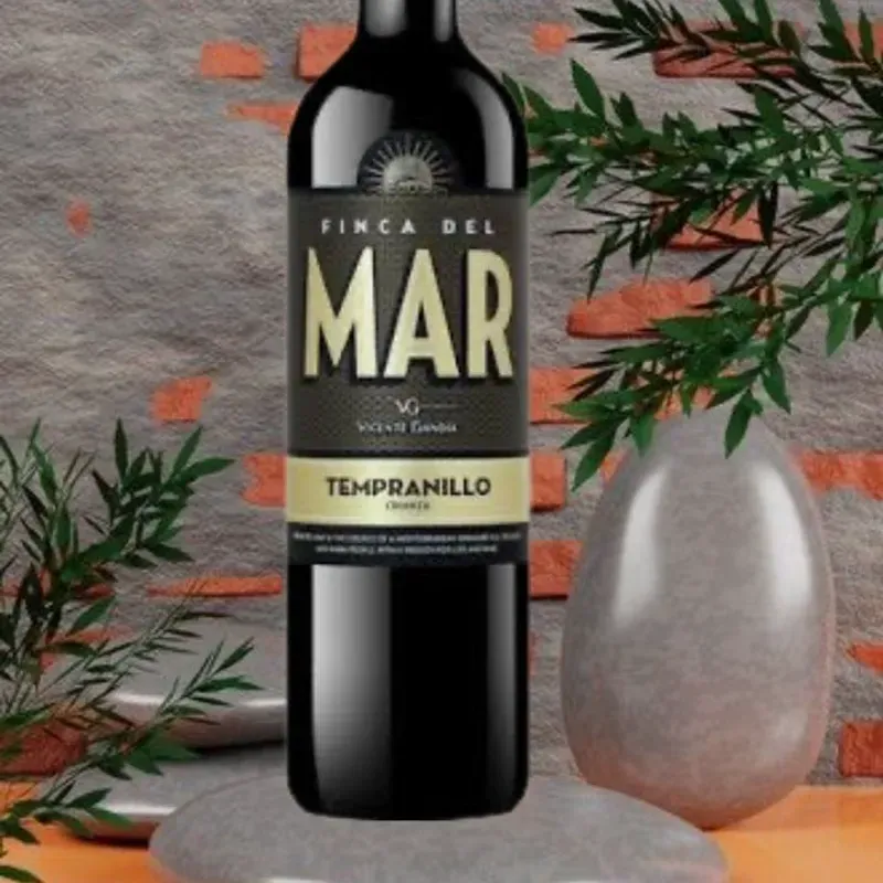 VT FINCA DEL MAR TEMPRANILLO 2019