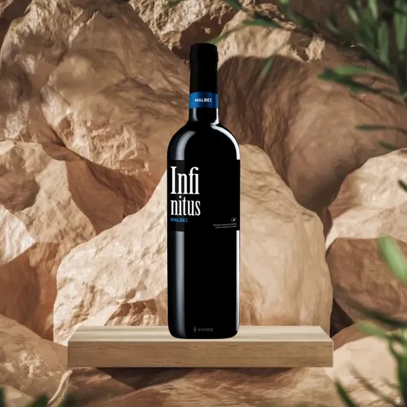 VT INFINITUS MALBEC 2022