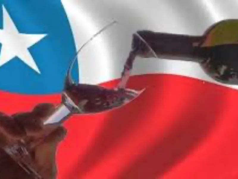 Vinos de Chile