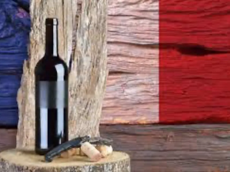 Vinos de Francia