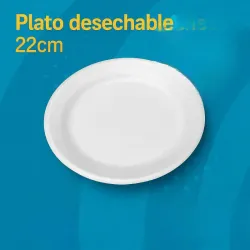 Plato de 22cm 