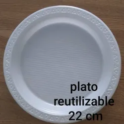 Platos reutilizables 22cm 