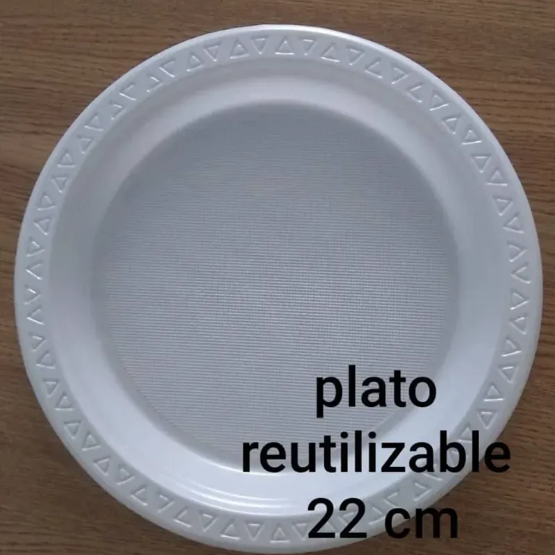 Platos reutilizables 22cm 