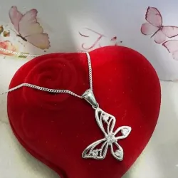 🦋 cad050