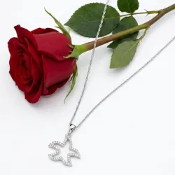 Estrella mar cad036