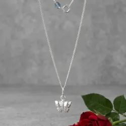Mariposa inflada cad041